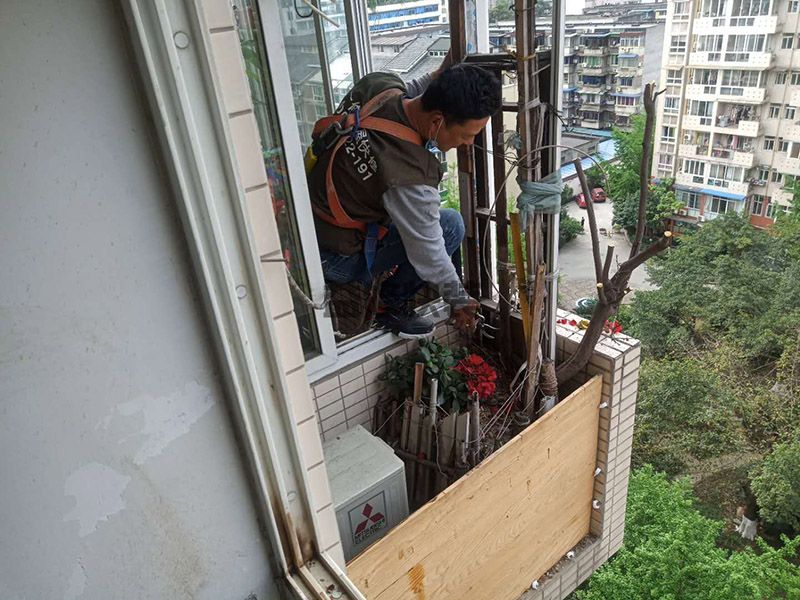 济南历城区阳台植物清理(图2)