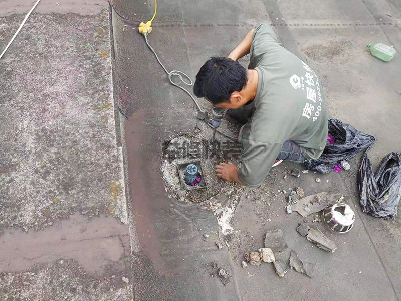 顶楼排水管道破损导致楼下漏水，物业不管，让自己维修合理吗